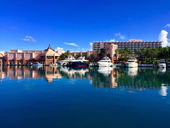 The Village Burger Shack